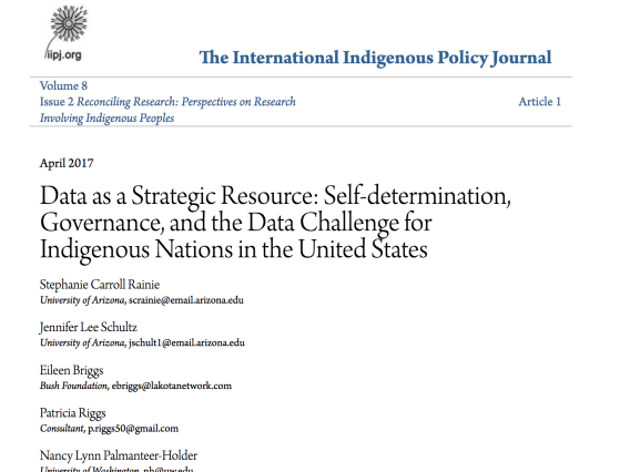 Data as a Strategic Resource: Self-determination, Governance , and the Data Challenge for Indigenous Nations in the United States