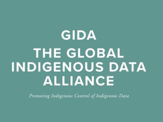 Global Indigenous Data Alliance 