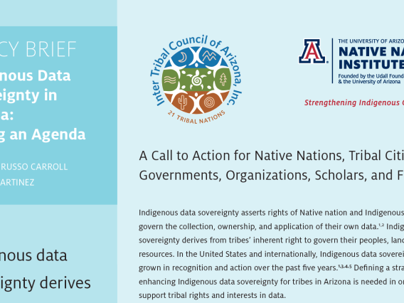Indigenous Data Sovereignty in Arizona Setting an Agenda