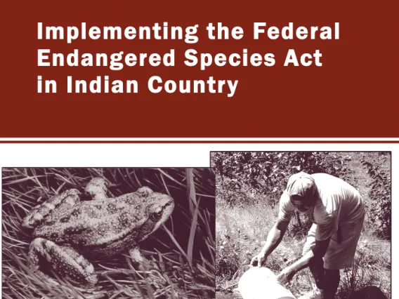 Implementing the Federal Endangered Species Act in Indian Country: The Promise and Reality of Secretarial Order 3206