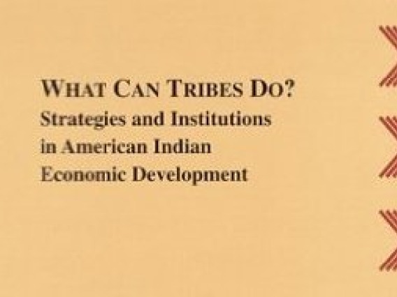 What Can Tribes Do? Strategies and Institutions in American Indian Economic Development