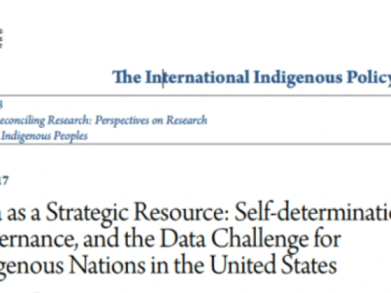 Announcing a New Publication: Data As a Strategic Resource