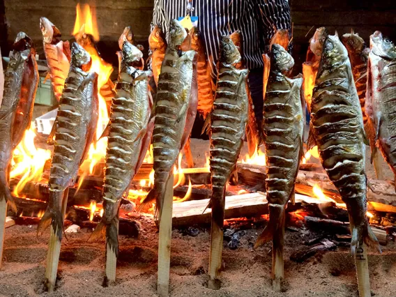 Indigenous Foods Knowledges Network at the Festival of Northern Fishing Traditions in Finland