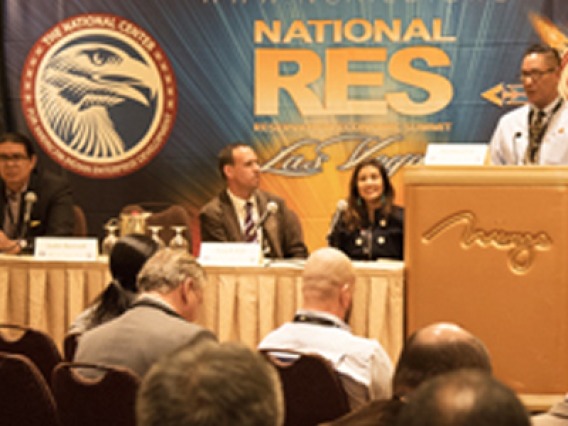 NNI Executive Director Hosts Strategic Session at RES 2018