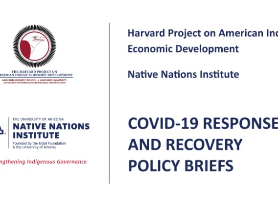 COVID-19 Response and Recovery Policy Briefs Published by Harvard Project on American Indian Economic Development and Native Nations Institute