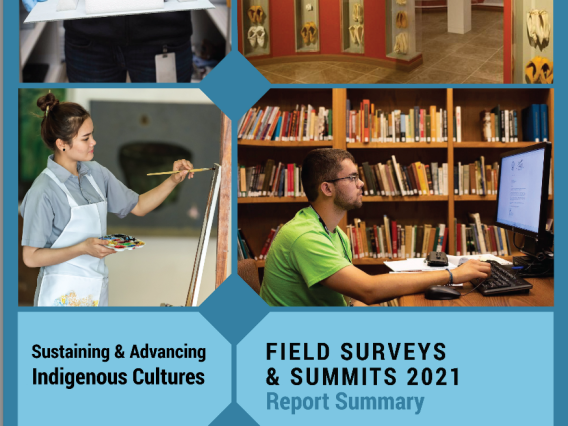Sustaining and Advancing Indigenous Cultures Report Summary: Field Surveys and Summits