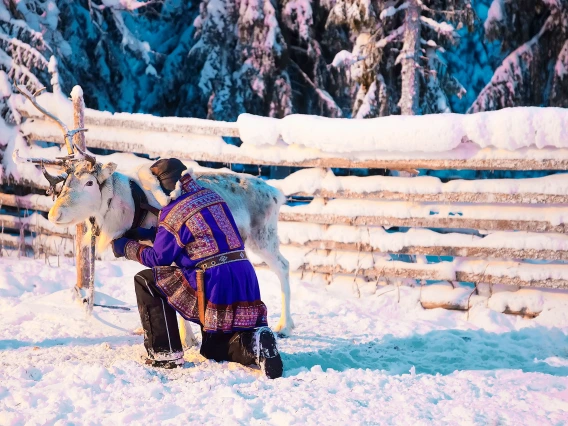 A man in traditional Indigenous Saami clothing kneels in the snow next to a reindeer.