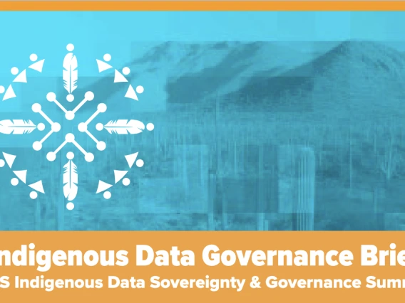 Indigenous Data Governance Brief 