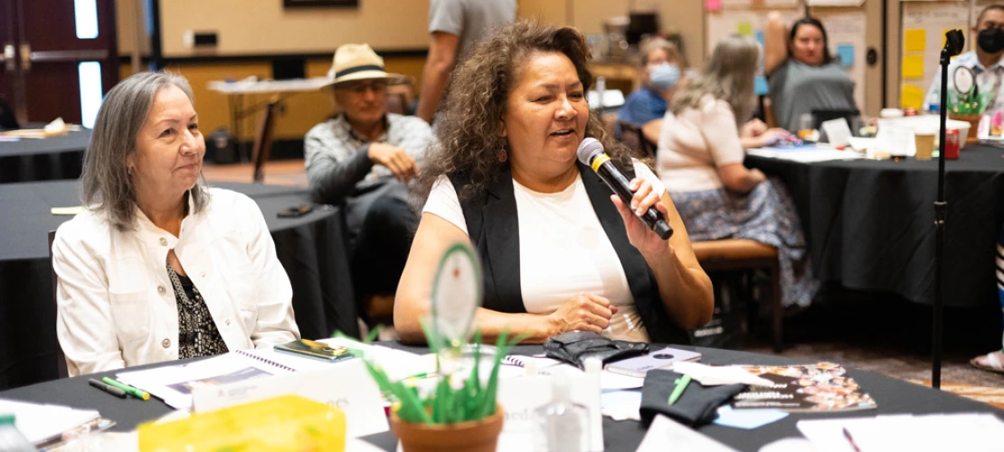 Remaking Tribal Constitutions Seminar 2022