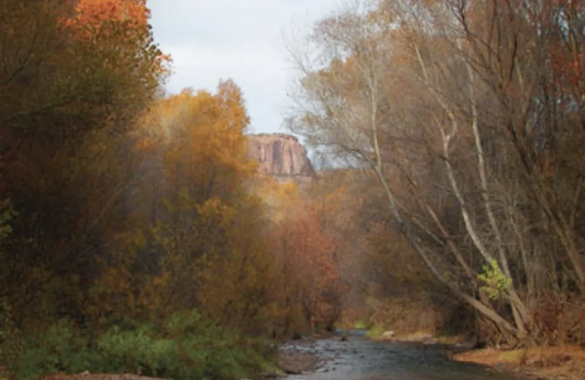 Big Sycamore Stands Alone: The Western Apaches, Aravaipa, and the Struggle for Place