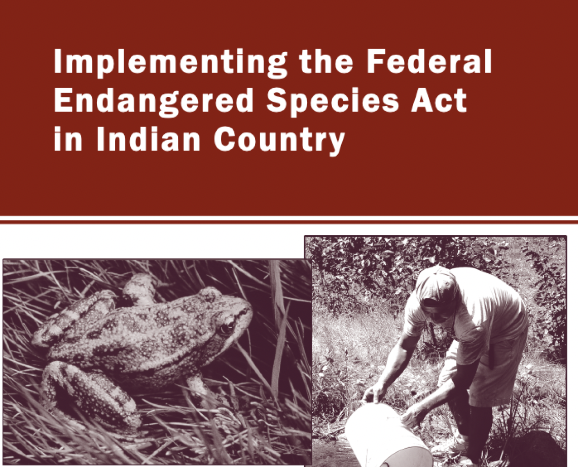 Implementing the Federal Endangered Species Act in Indian Country: The Promise and Reality of Secretarial Order 3206