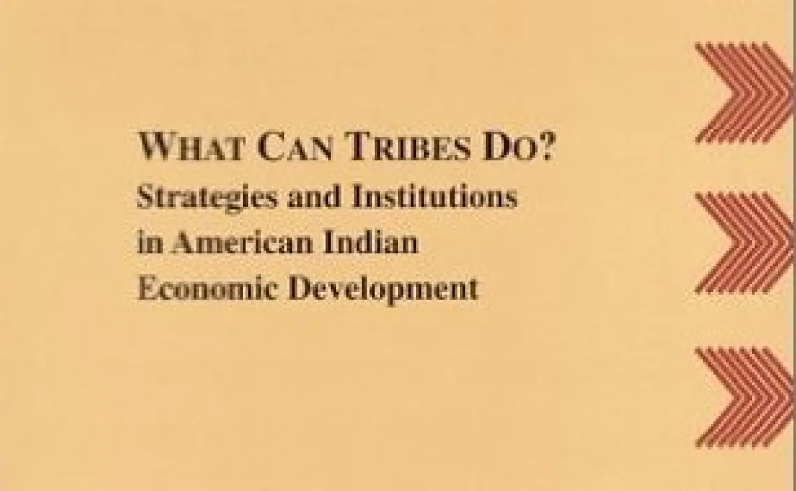 What Can Tribes Do?