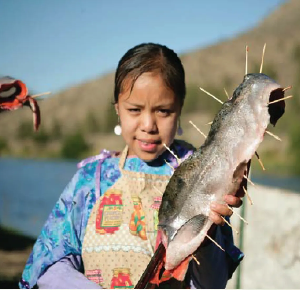 Reimagining Indigenous Health: Moving Beyond the Social Determinants of Health