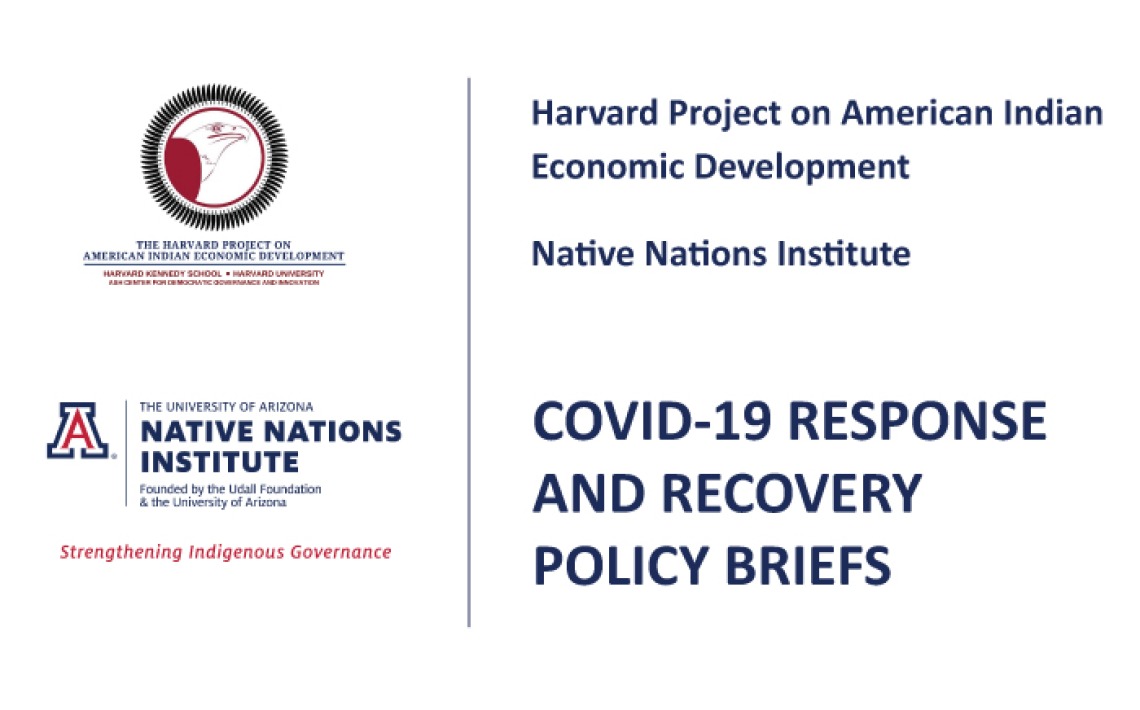 COVID-19 Response and Recovery Policy Briefs Published by Harvard Project on American Indian Economic Development and Native Nations Institute