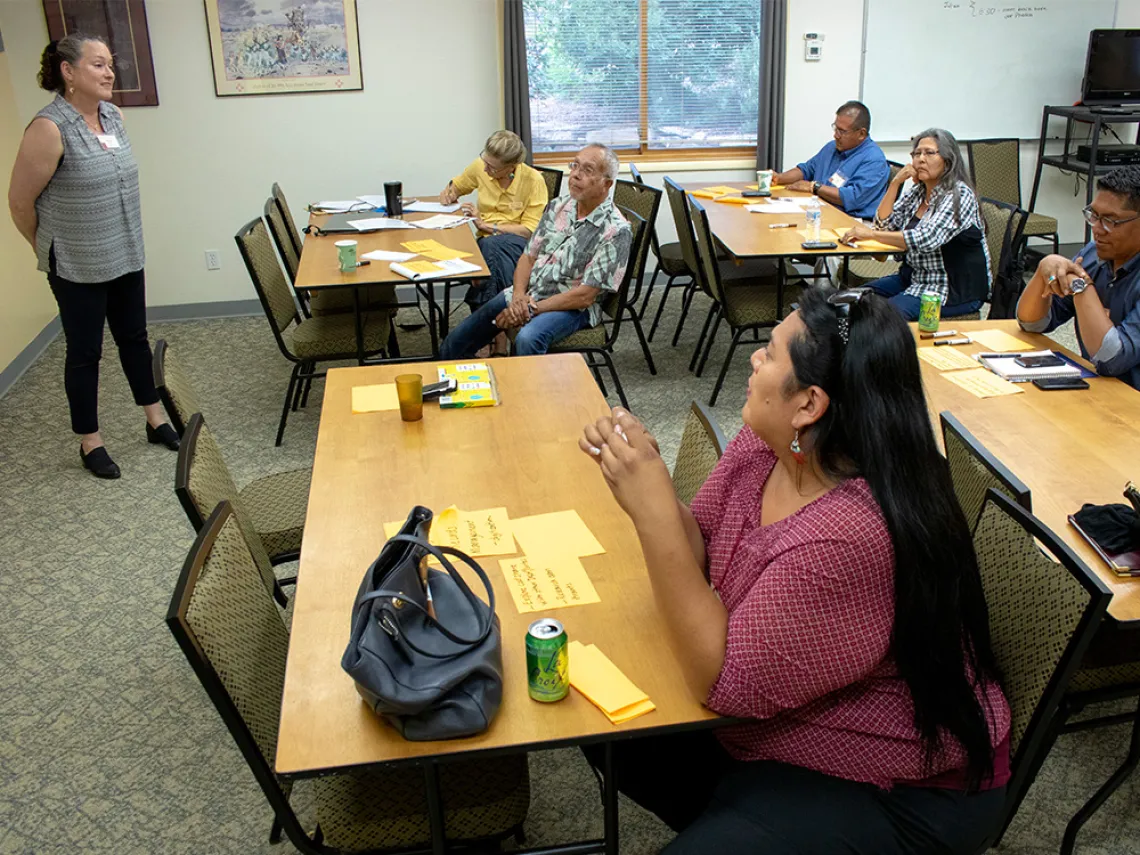 Native Nations Institute Tribal and Direct Services images