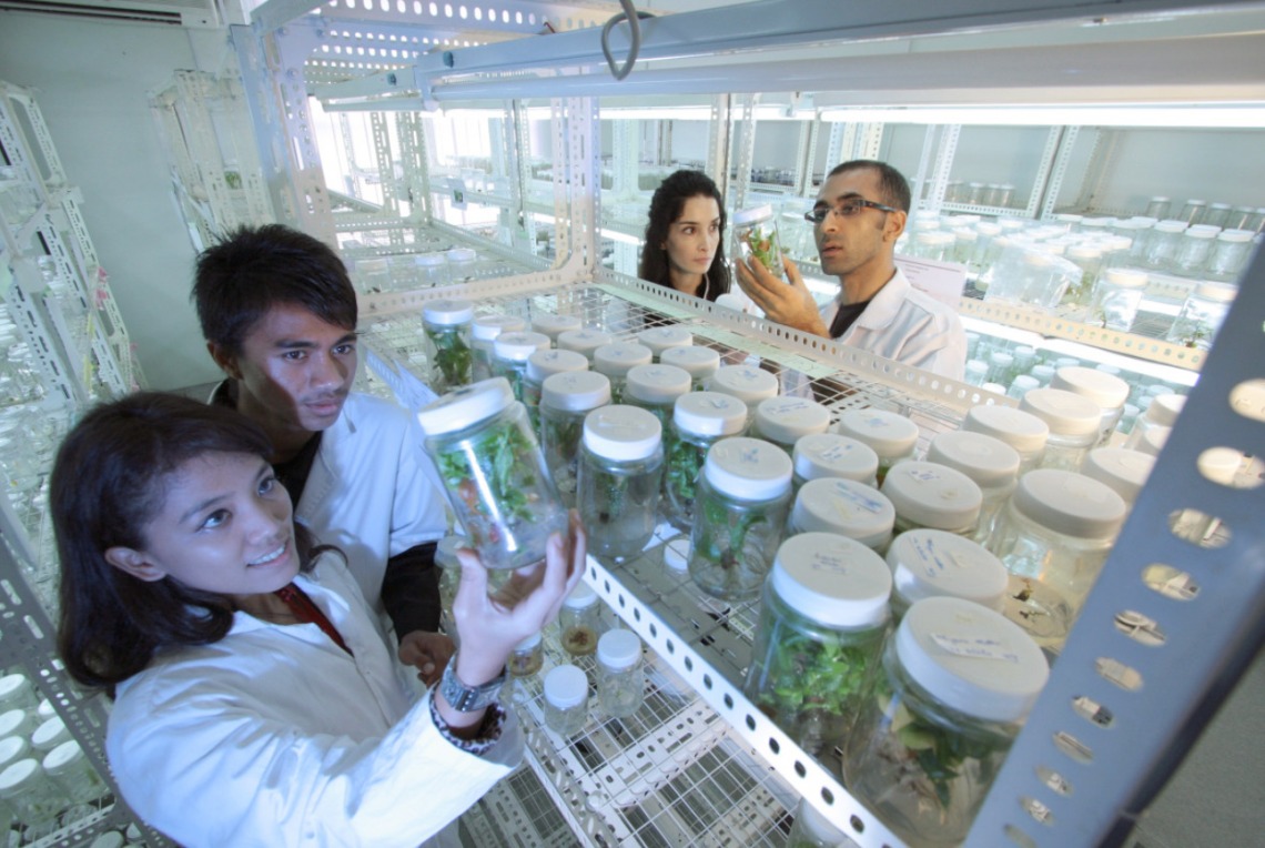 Four scientists in white lab coats stand around a shelf filled with glass jars containing plant material. The jars have white plastic lids. One female scientist in the foreground on the left side of the image holds up a jar to examine it as a male scientist looks on. On the other side of the shelf, a male scientist examines another jar as a female scientist looks on.