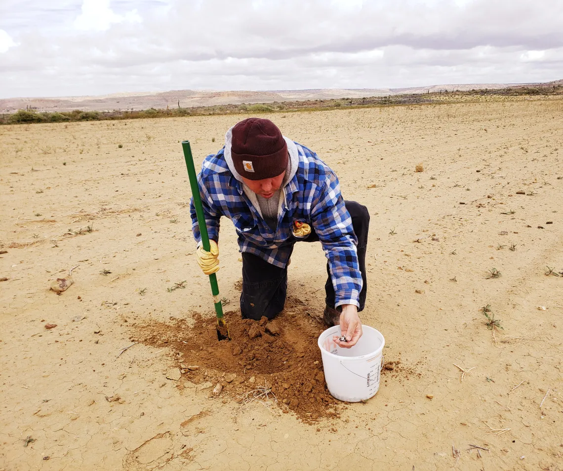 Michael Kotutwa Johnson uses traditional Hopi farming methods to plant seeds