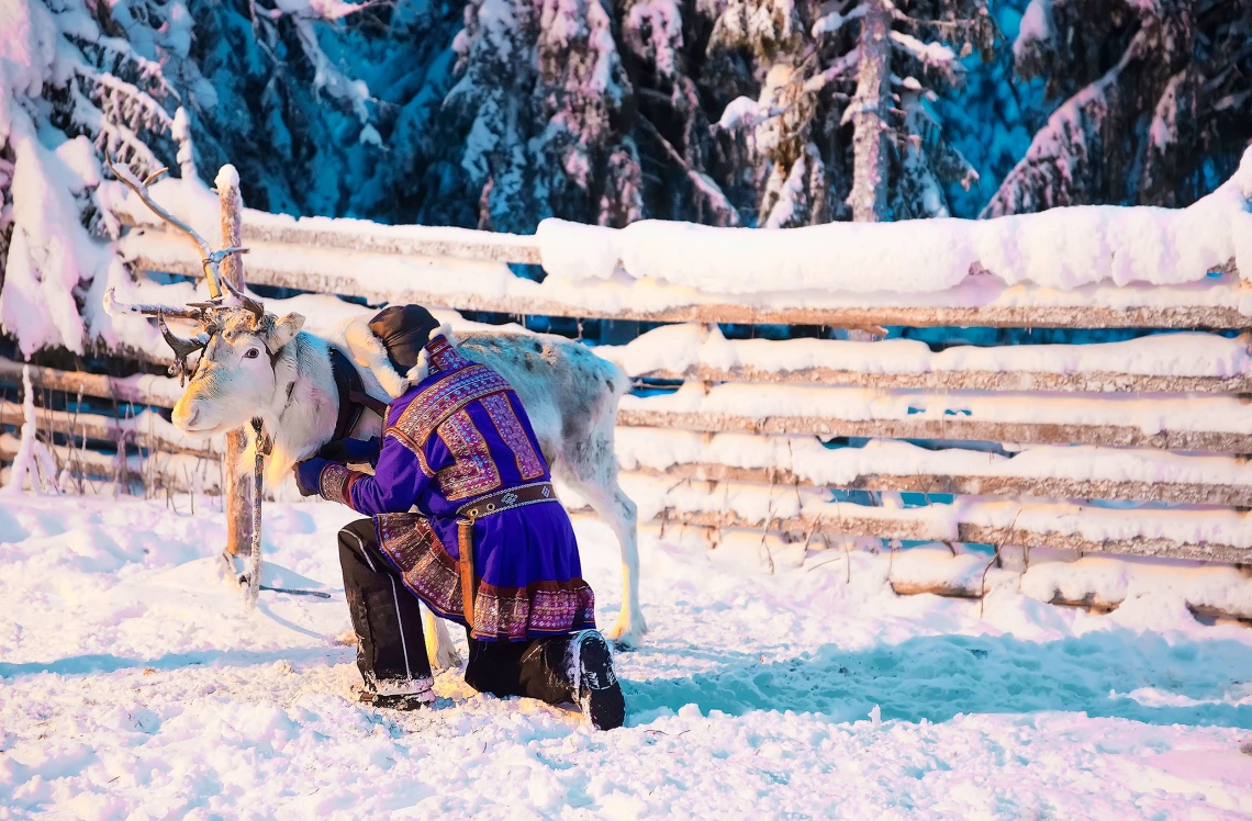 A man in traditional Indigenous Saami clothing kneels in the snow next to a reindeer.