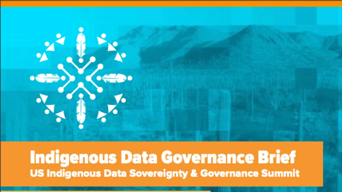 Screenshot of the hero image from the US Indigenous Data Governance Brief