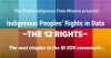 12 colored rectangles numbered 1-12 arranged in a grid; text reads "The Global Indigenous Data Alliance presents: Indigenous Peoples Rights in Data: the 12 Rights, the next chapter in the IDSov Movement